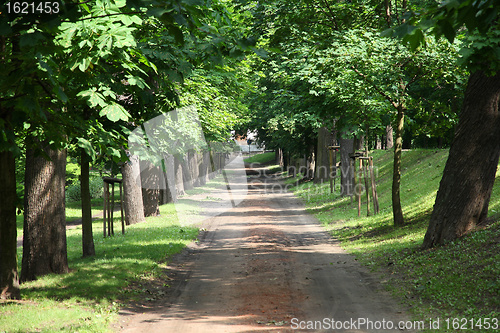 Image of City Park in Kalisz