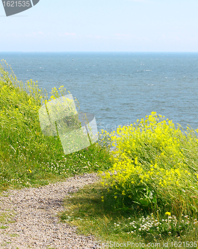 Image of View of Finland Gulf with white yellow flowers in the foreground