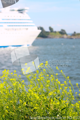 Image of View of Finland Gulf with white yellow flowers in the foreground