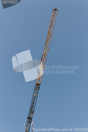 Image of crane