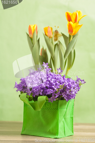 Image of Spring bouquet from tulips and campanula blue, a close up