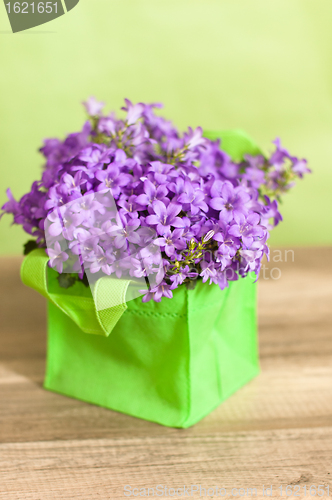 Image of campanula blue a close up