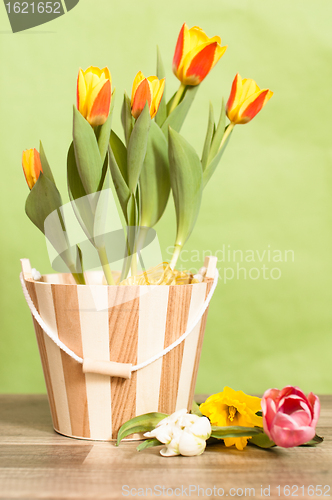 Image of It is red yellow tulips in a bucket