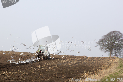 Image of Farmer plowing