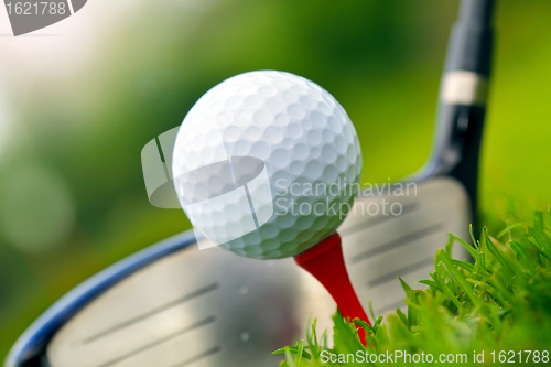 Image of Golf club and ball in grass 