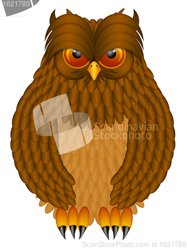 Image of Brown Horned Owl Illustration