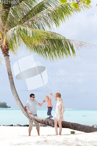 Image of family at the beach