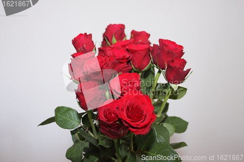 Image of bouquet of red roses in a vase on white background
