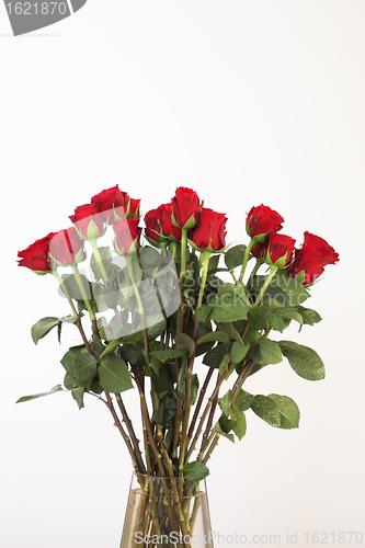 Image of bouquet of red roses in a vase on white background