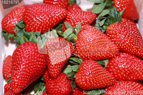 Image of crate of strawberries isolated on white background