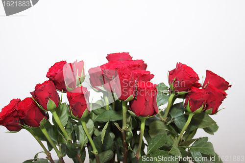 Image of bouquet of red roses in a vase on white background