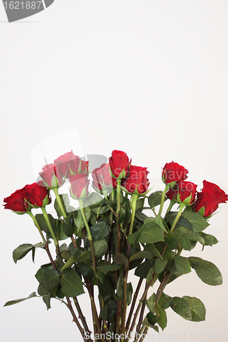 Image of bouquet of red roses in a vase on white background