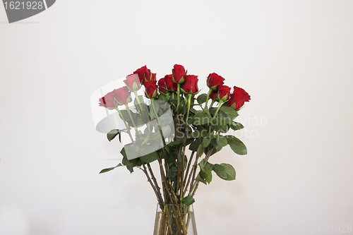 Image of bouquet of red roses in a vase on white background