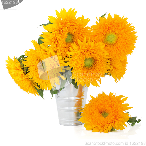 Image of Sunflowers