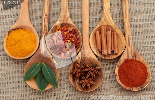 Image of Spices and Herbs