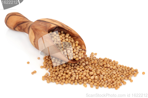 Image of Mustard Seed