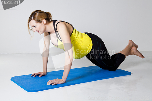 Image of Pregnant woman doing push-up exercise