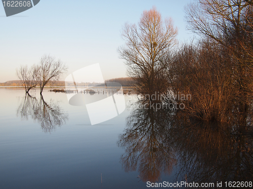 Image of Trees reflections at dawn, during a winter river flood.