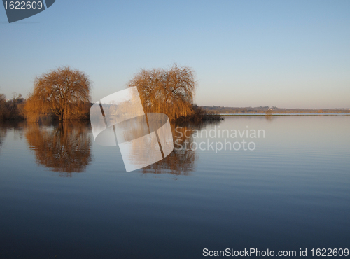 Image of Trees reflections at dawn, during a winter river flood.