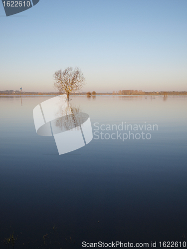 Image of Trees reflections at dawn, during a winter river flood.