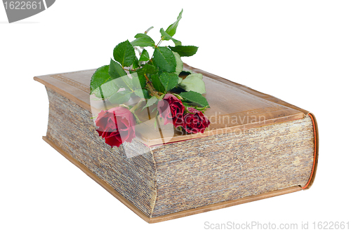 Image of Red roses in a closed book