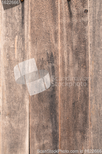 Image of Wood grungy background 