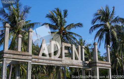 Image of Adeni paradise with palm