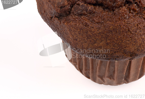 Image of Muffin closeup