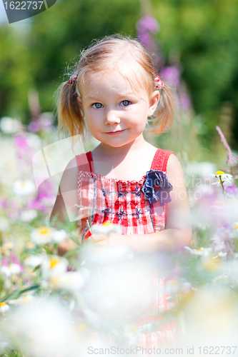 Image of Little girl in meadow