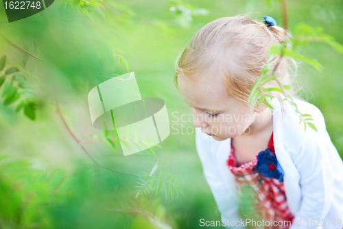 Image of Little girl outdoors at summer day