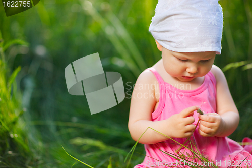 Image of Little girl in meadow
