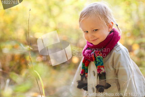 Image of Toddler girl at autumn forest