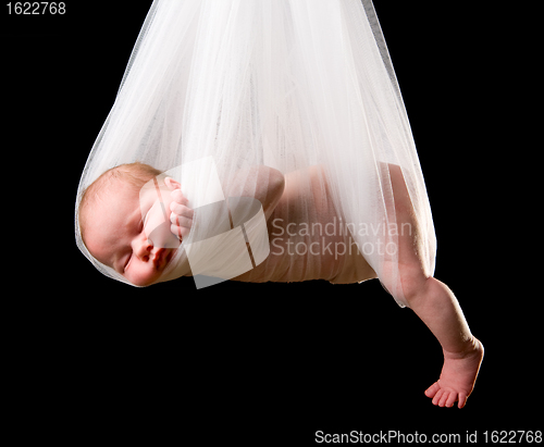 Image of Stork Baby Package