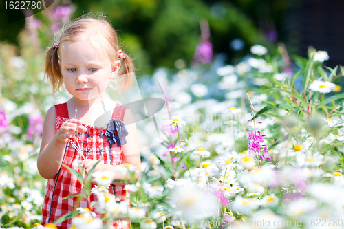 Image of Little girl in meadow