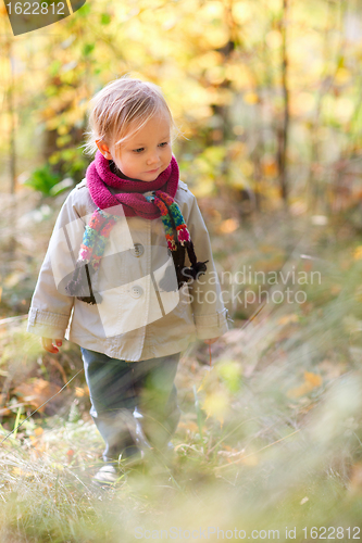 Image of Toddler girl walking at autumn forest