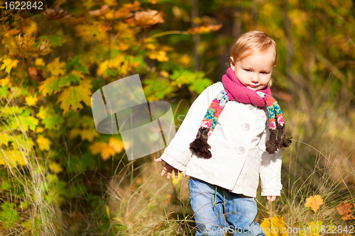 Image of Toddler girl at autumn forest