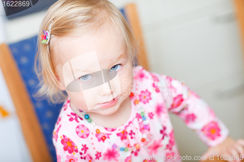 Image of Toddler girl portrait