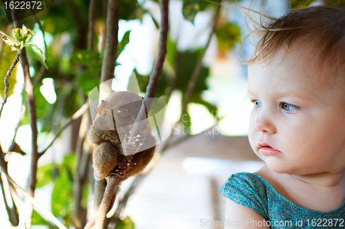 Image of Girl and tarsier