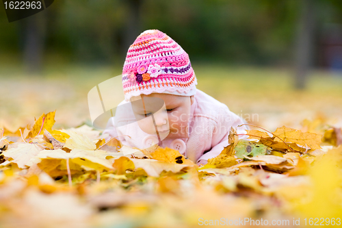 Image of Seasonal baby girl