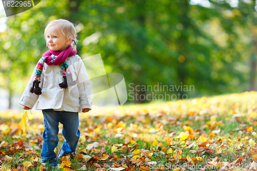 Image of Toddler girl in autumn park