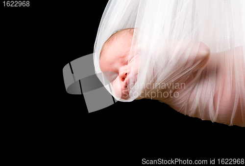 Image of Stork Baby Package