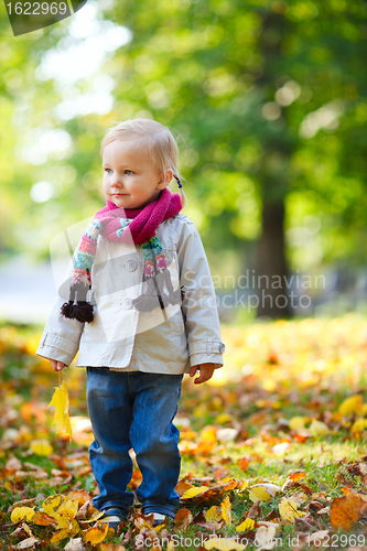 Image of Toddler girl at autumn park