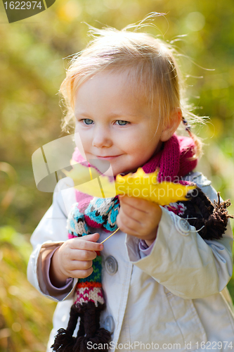 Image of Toddler girl outdoors at autumn day