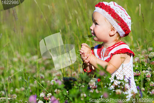 Image of Portrait of toddler girl in meadow