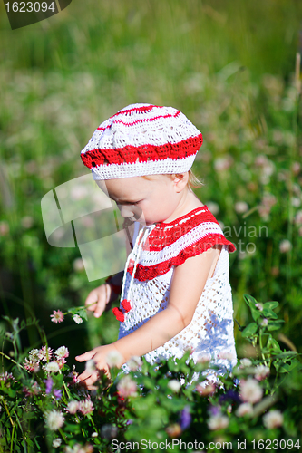 Image of Adorable toddler girl in meadow