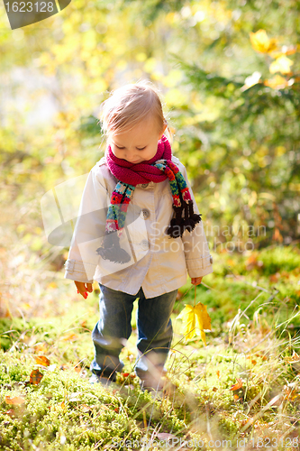 Image of Toddler girl walking at autumn forest