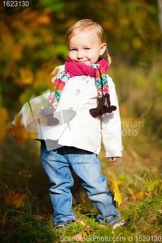 Image of Toddler girl in autumn forest
