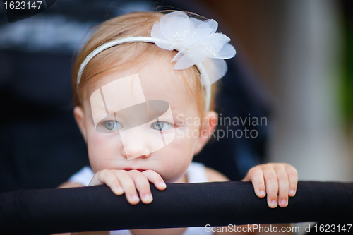 Image of Toddler girl portrait