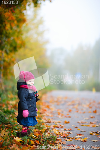 Image of Foggy autumn day