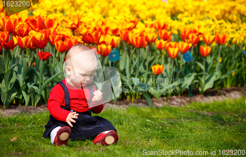 Image of Baby girl in garden